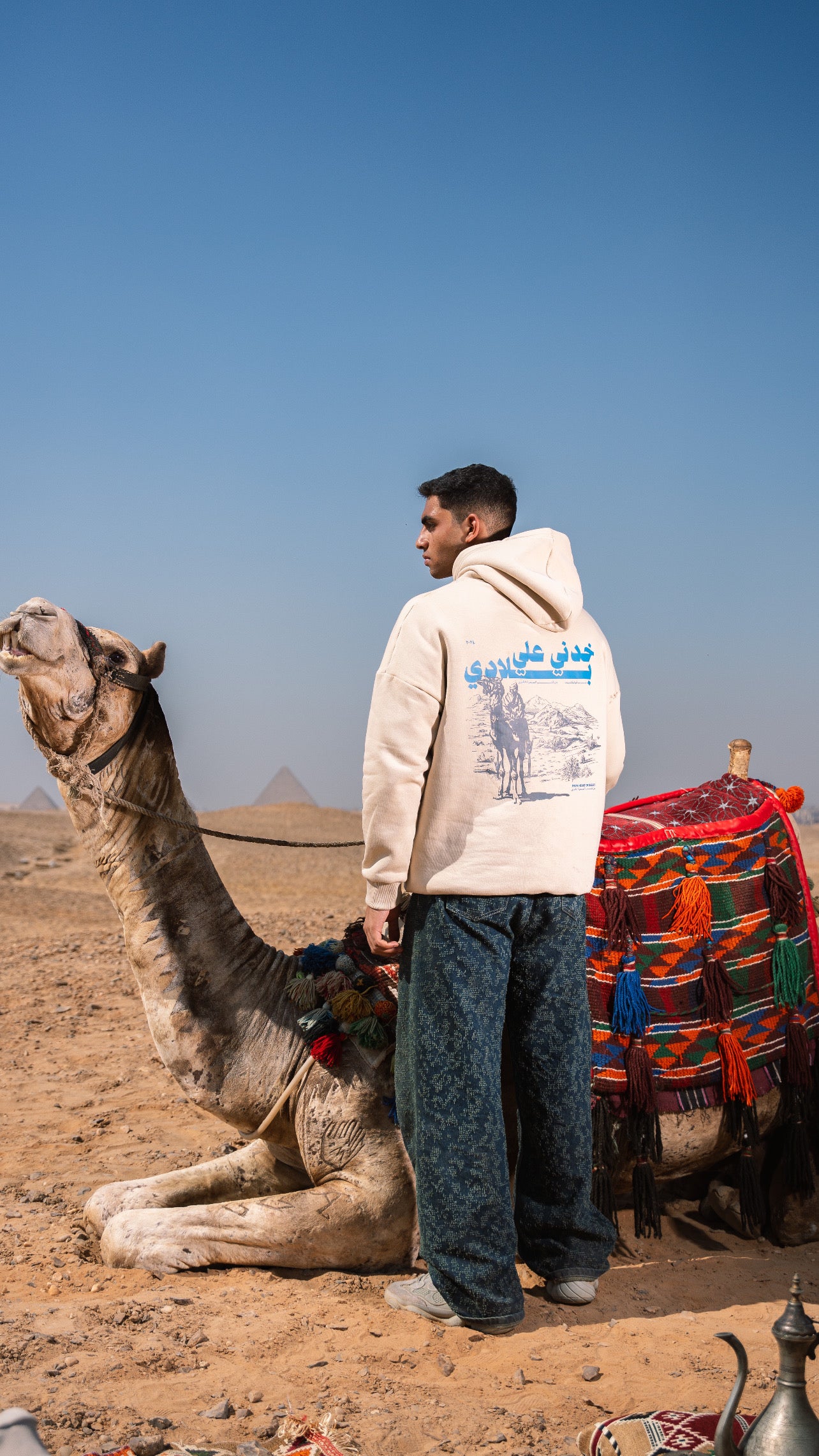 Take Me Back Home Hoodie - ArabCollective