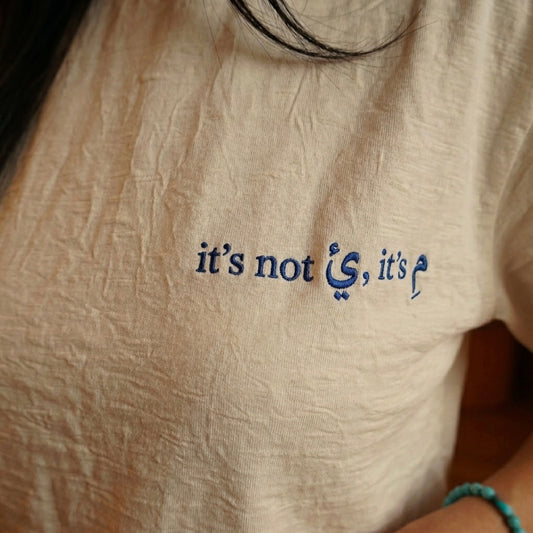 “ It’s Not You It’s Me” Embroidery Tee Unisex