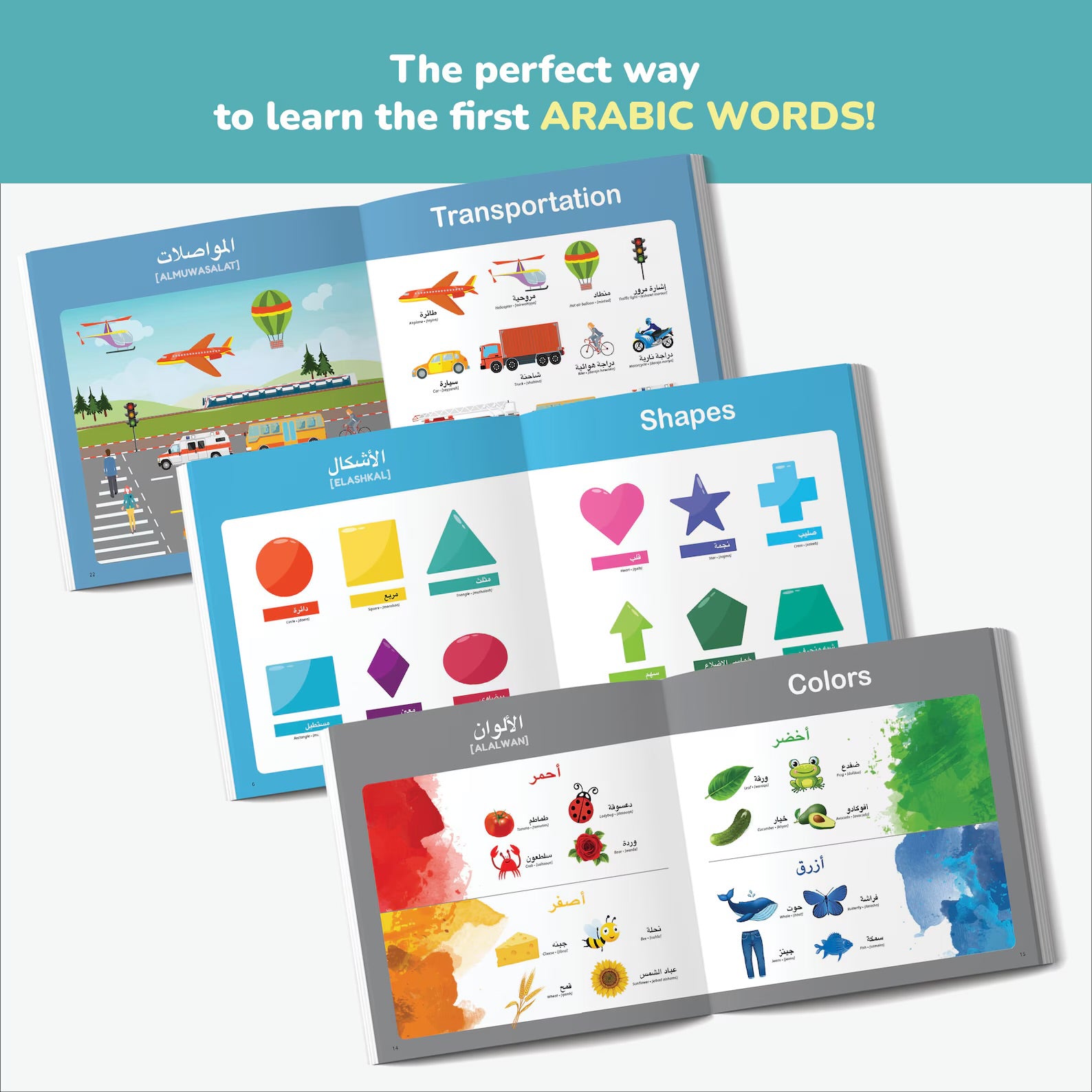 Little Explorer: Arabic & English – Bilingual First Words Book