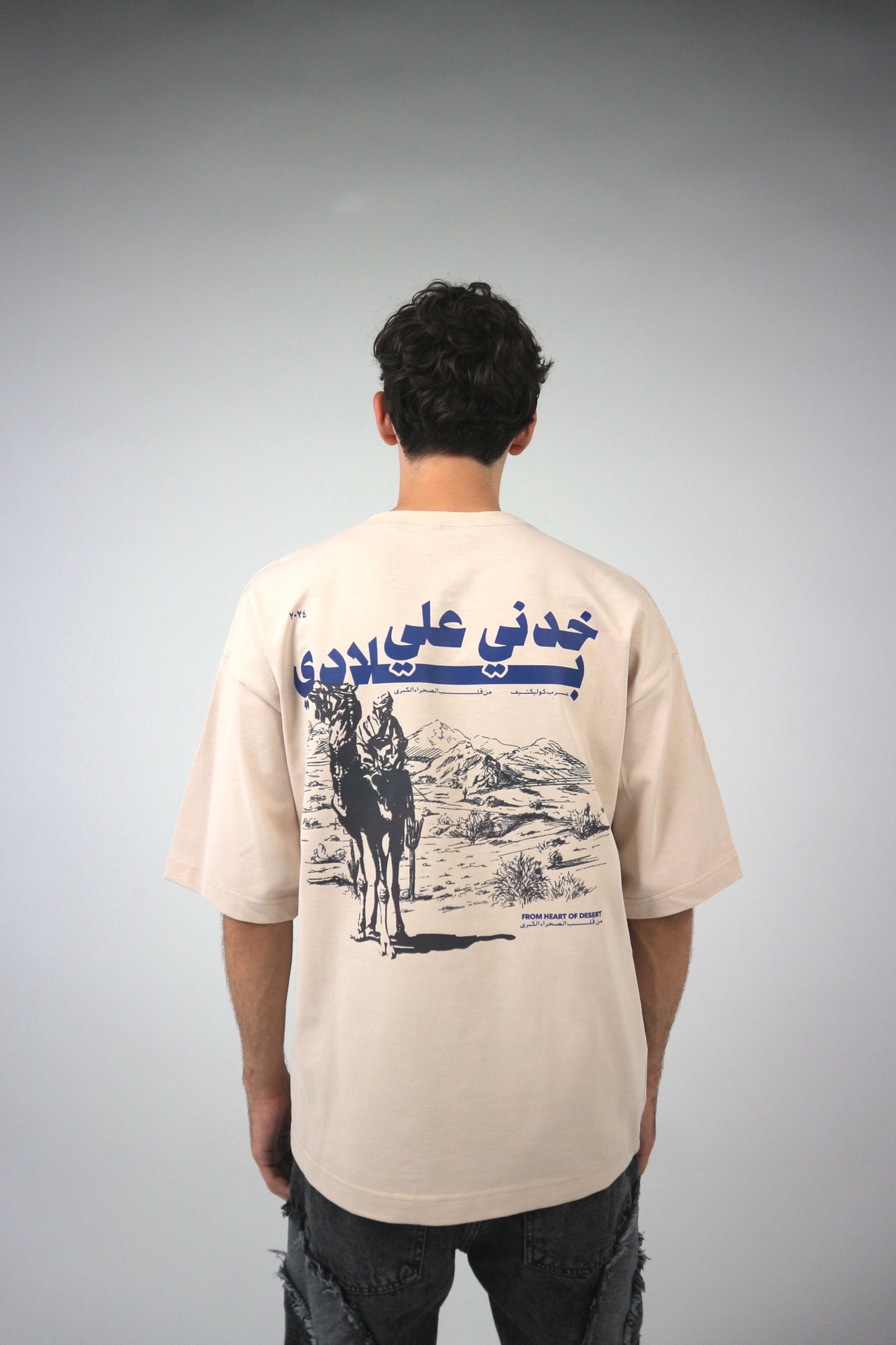 Take Me Home - Premium Oversized Tee