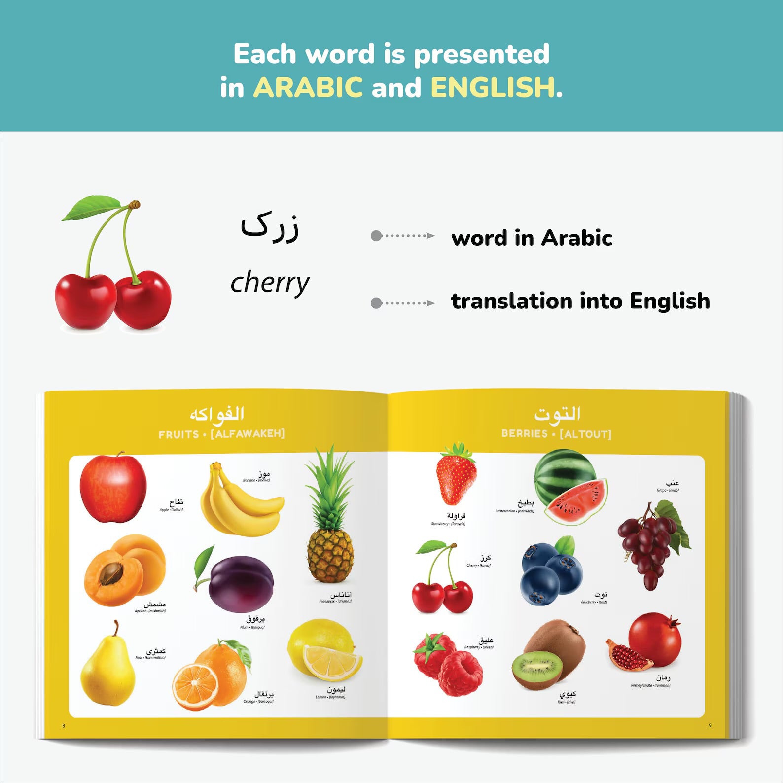 Little Explorer: Arabic & English – Bilingual First Words Book