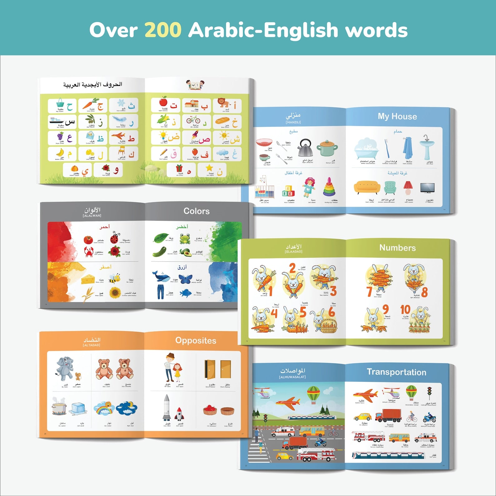 Little Explorer: Arabic & English – Bilingual First Words Book