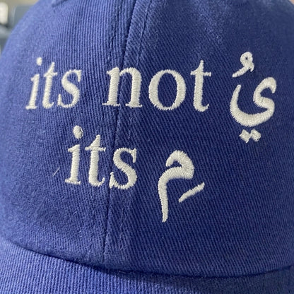“IT’S NOT YOU, IT’S ME” Cap